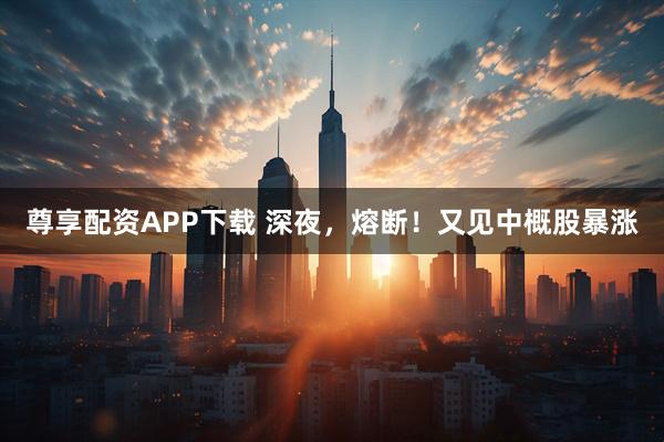 尊享配资APP下载 深夜，熔断！又见中概股暴涨