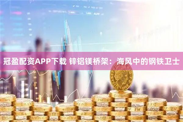 冠盈配资APP下载 锌铝镁桥架：海风中的钢铁卫士